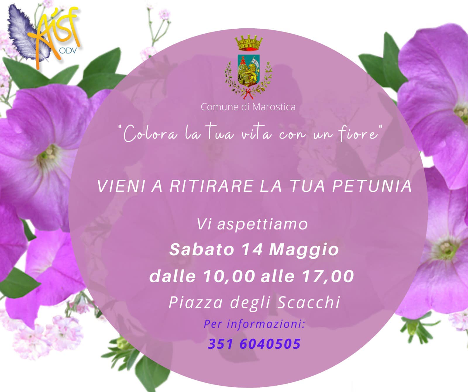 Petunie in piazza - aisf odv
