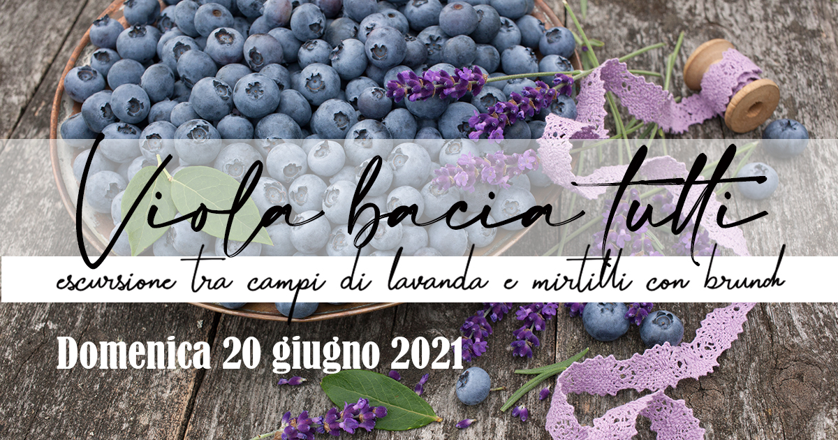 VIOLA BACIA TUTTI | Escursione tra campi di lavanda e mirtilli con brunch