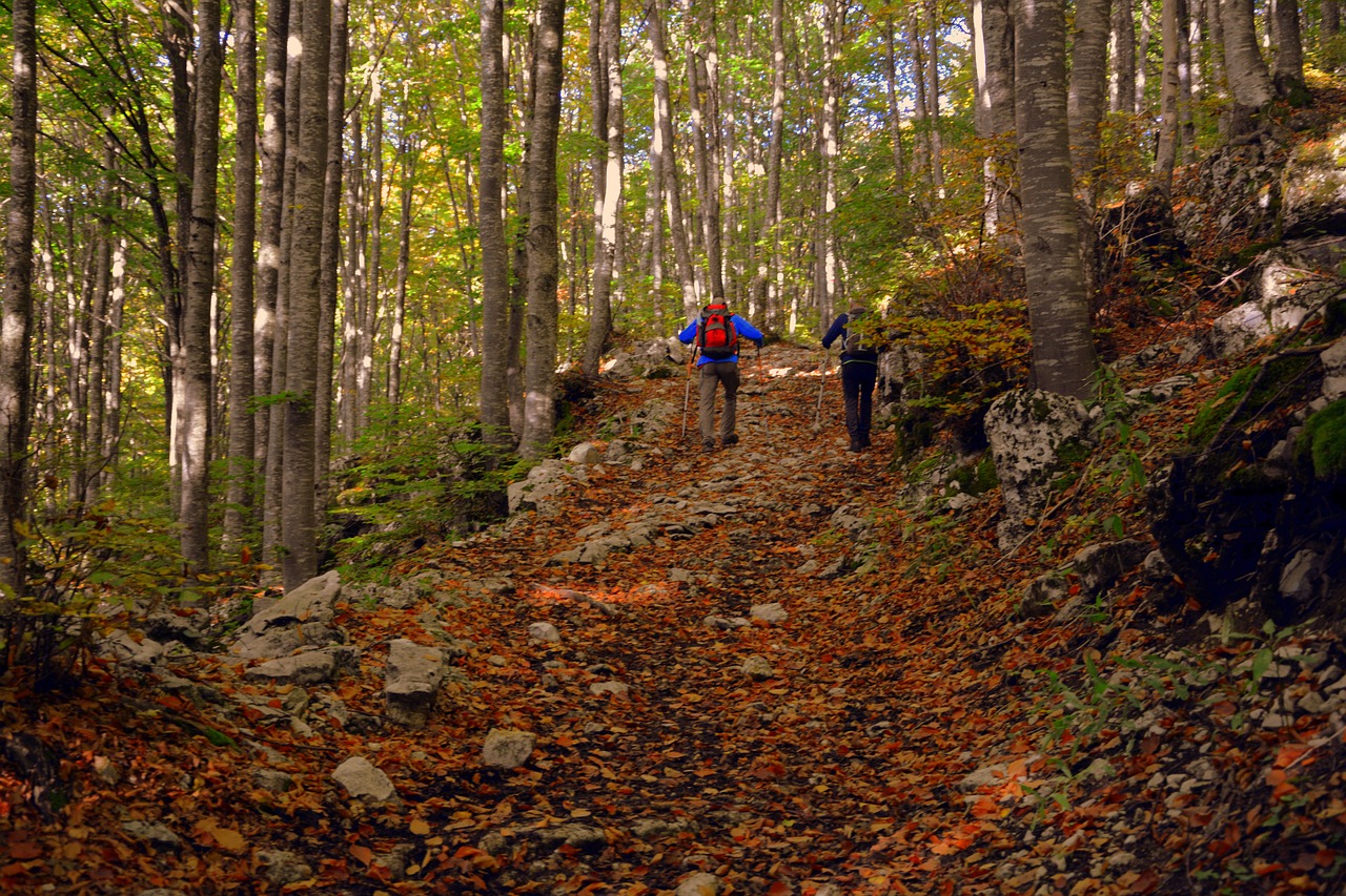 Fare pace con l’ambiente
