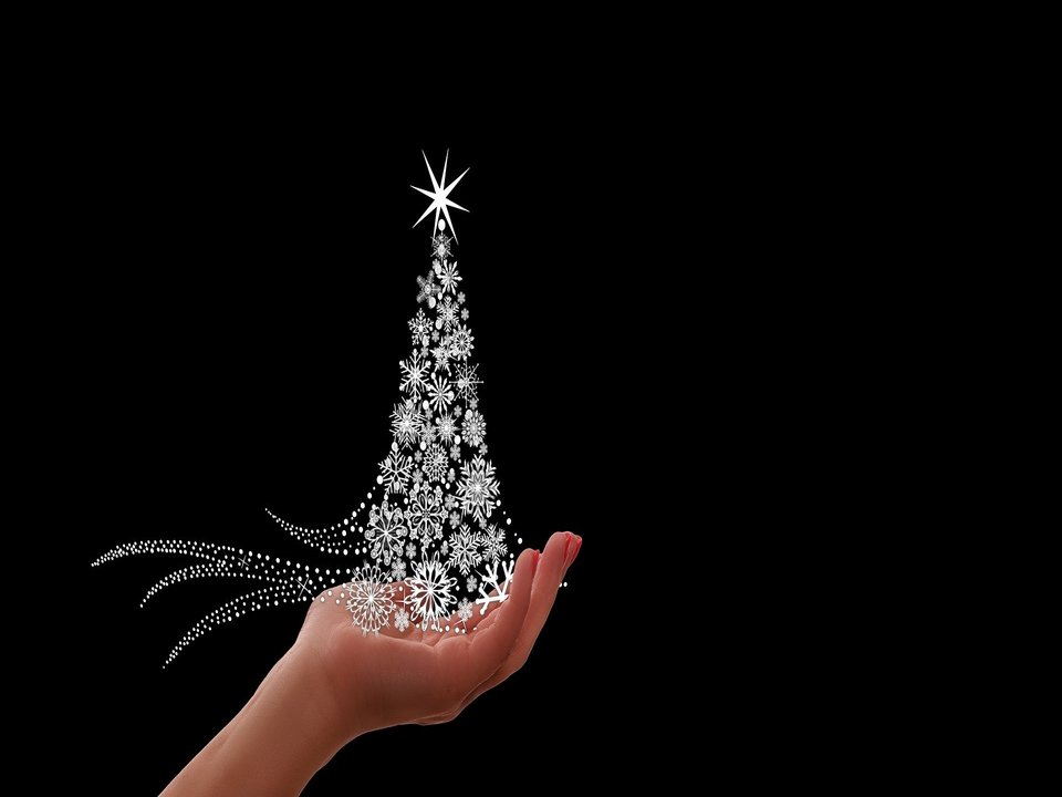 Accensione Albero di Natale e apertura Pista di pattinaggio su ghiaccio